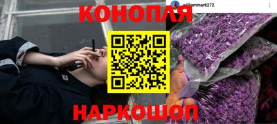 а пвп мука Комсомольск-на-Амуре