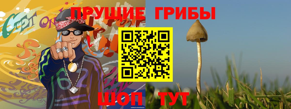 Галлюциногенные грибы MAGIC MUSHROOMS  где купить   Заволжье  Вход с VPN 
